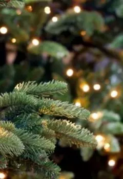 Радиомолчание