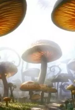 Рассказ Алисы