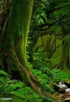 Рассказы обо всем, что волнует человека в жизни.