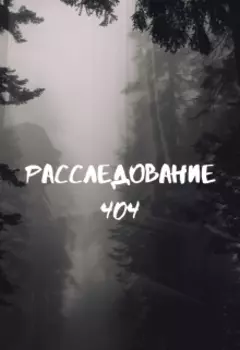 Расследование 404
