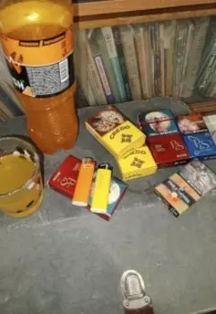 рассвет демо и алиса