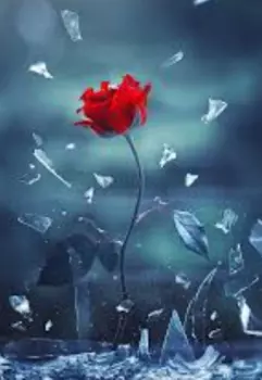 Осколки Розы. Возрождение