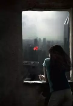 Разлюбить за сутки