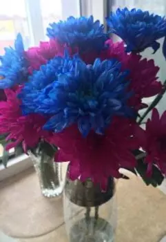 Разные краски