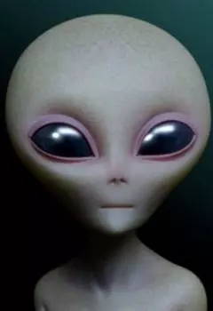 Рита и ее инопланетный друг Ари