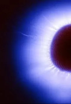 роман "Хромосома Христа" Глава 4