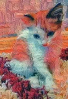 Роман про Шуру