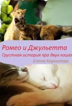 Ромео и Джульетта. Грустная история двух кошек.