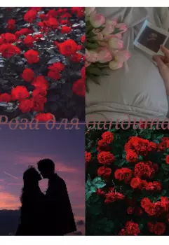 Роза для бандита