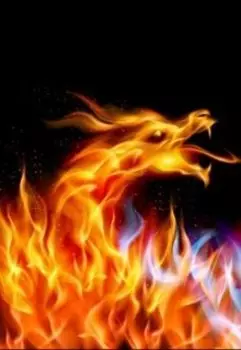 Рождённая Фениксом 2. Черная и белая беды