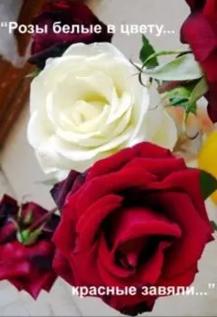 «розы белые в цвету, красные завяли...»