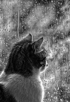 Sadhess. Poems of 2023.