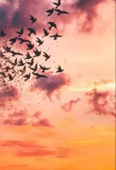 Сага о восхождении Героя