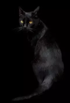 Сами по себе