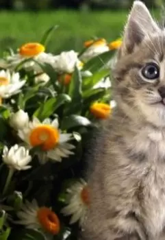 Самый главный человек.