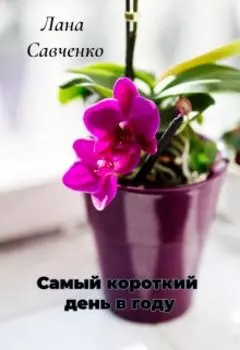 Самый короткий день в году