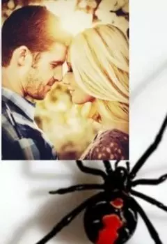 Самый лучший бизнес. Черная вдова