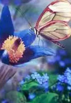 Сборник рассказов для души...