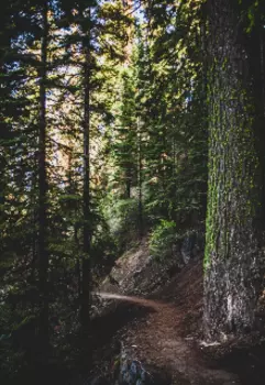 Счастливчик