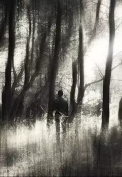 Семьдесят тонн угля