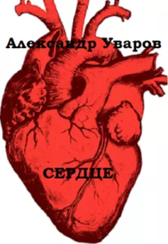 Сердце