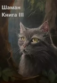 Шаман. Книга третья