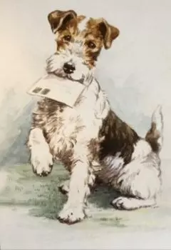 Щенок по кличке Бим