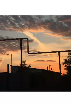 Школьный чай