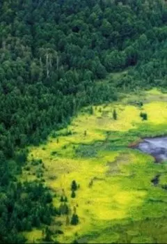 Сибирская топь (отрывок из романа "Пыль")