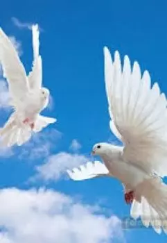 "Сила любви"