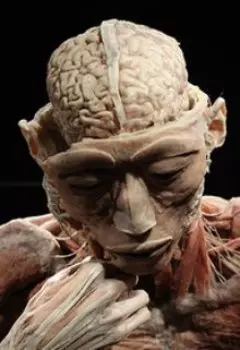 Симбиоз сознаний