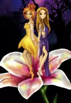 Сияющая звезда. Сквозь три измерения