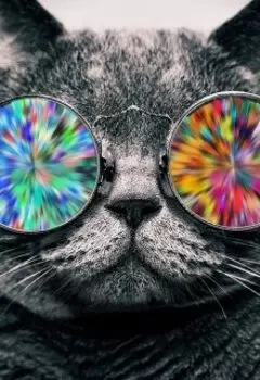 Сказ о спасении Василисы Премудрой