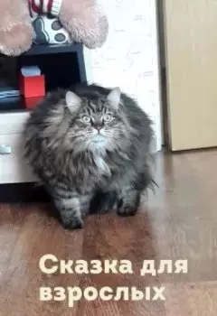 Сказка для взрослых