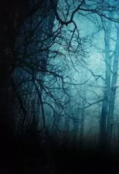 Сказка на ночь