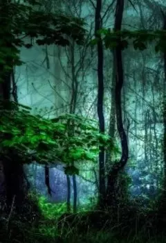 Сказка о герое