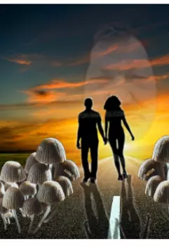 Сказка о грибах