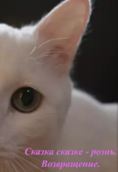 Сказка сказке – рознь. Возвращение.