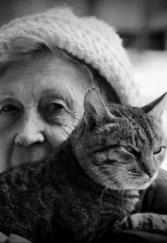 Сказка со счастливым концом