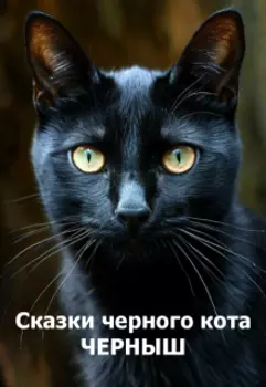 Сказки чёрного кота 1: Черныш
