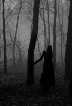 Сказки на ночь