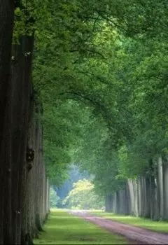 Сказки старого парка