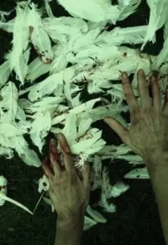 Сказки Старой Ведьмы: Лебединое Проклятье