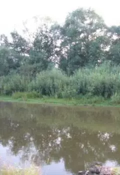 Скользящий по Алитэ