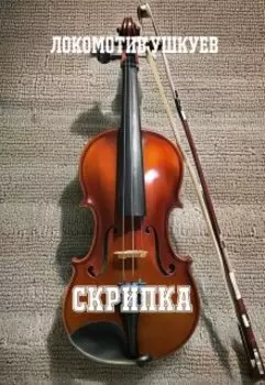 Скрипка