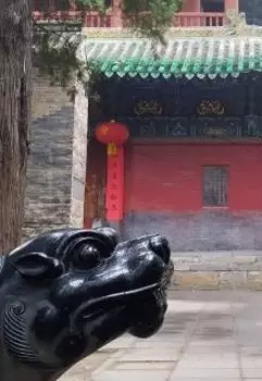 Сквозь дебри Шаолиня