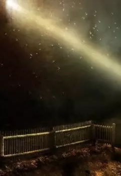 Сквозь тьму к свету