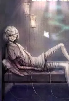 Сломанные крылья