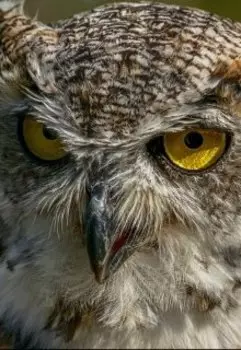 Случай из жизни №1