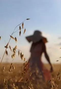 Случайная случайность